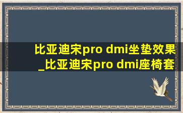 比亚迪宋pro dmi坐垫效果_比亚迪宋pro dmi座椅套全包橙色